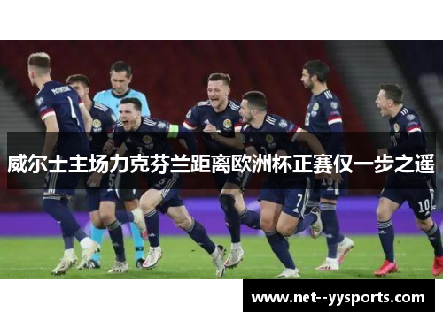 威尔士主场力克芬兰距离欧洲杯正赛仅一步之遥